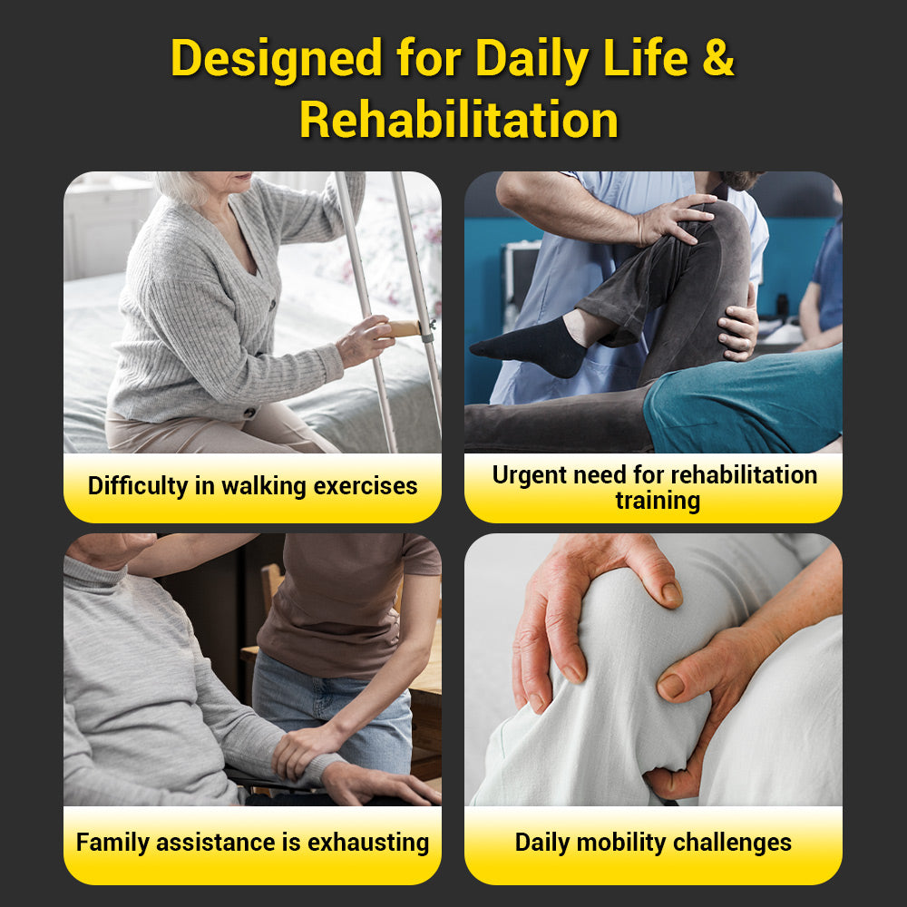 EASWE S10 Vertical Lift Electric Wheelchair - 500W Motor, Adjustable Height